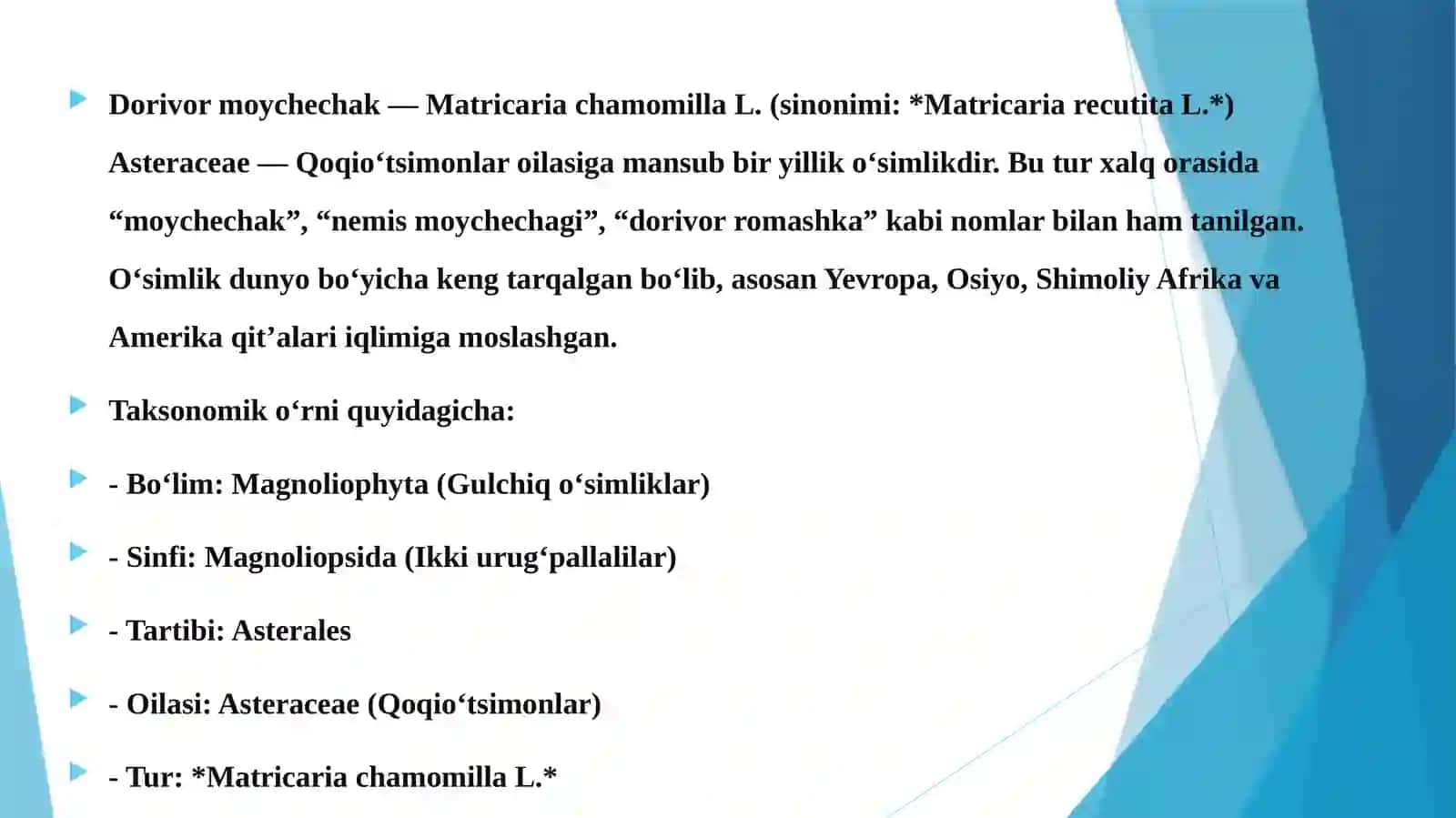 Dorivor moychechak 3