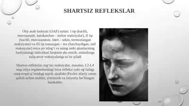 Oliy nerv faoliyatining xususiy tiplari 3