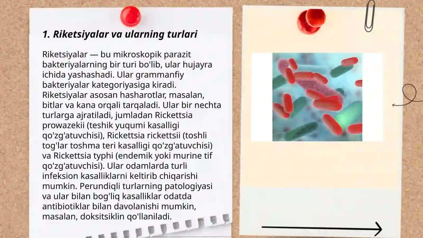 Rikketsiozlar 3