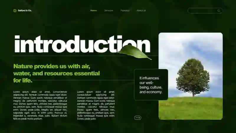 prezentatsiya taqdimot tabiat prezentation nature 3