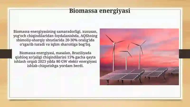 Biomassa energiyasi 3