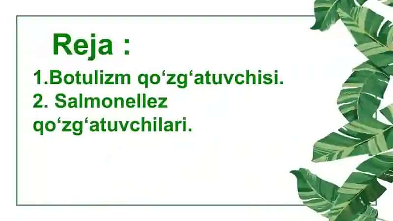 Botulizm qoʻzgʻatuvchisi 3