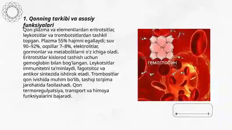 Qon fizalogiyasi 3