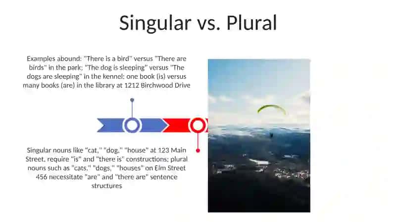 Plan: Singular vs. Plural 3