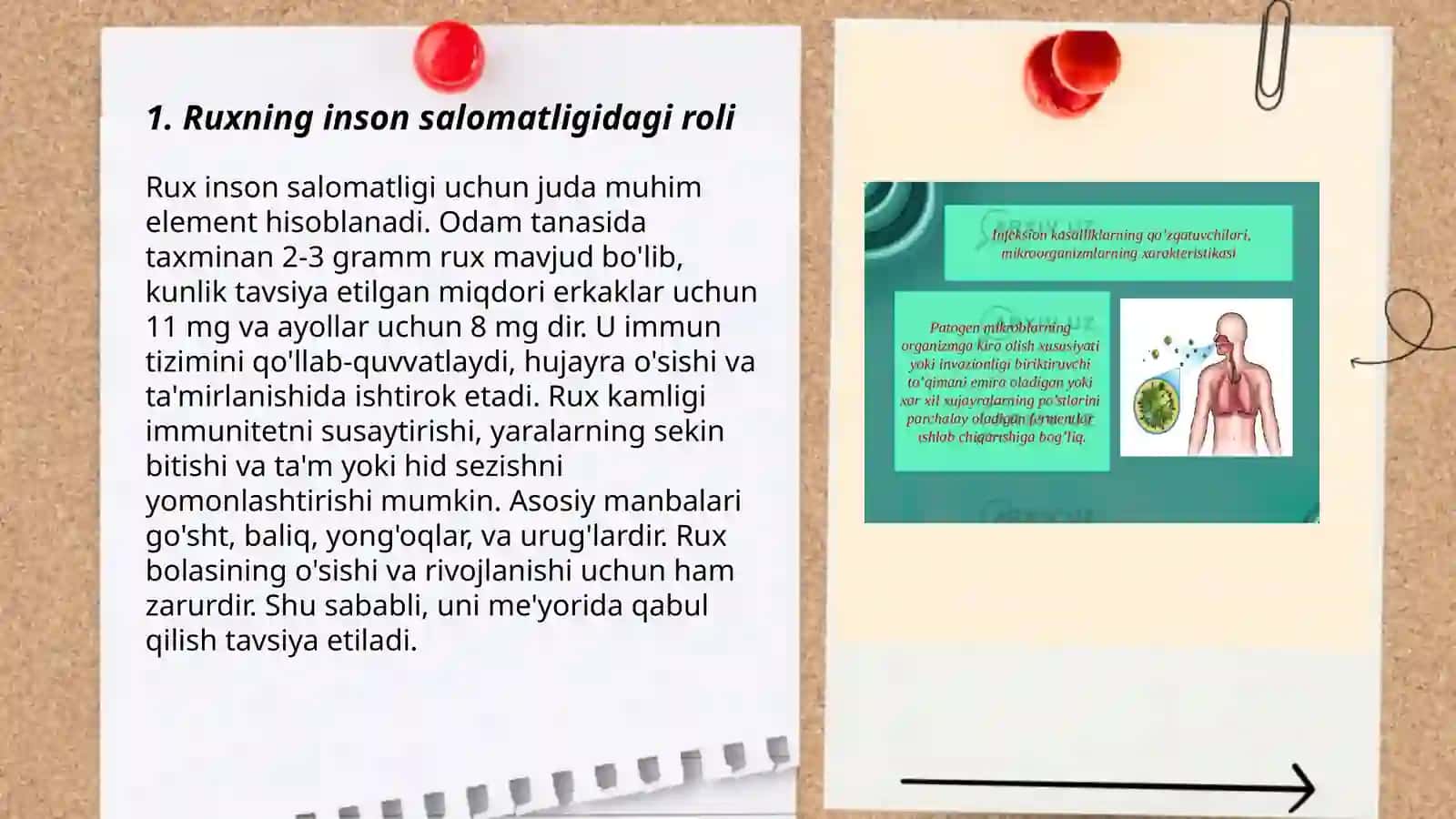 Ruxning organizmdagi ahamiyati 3