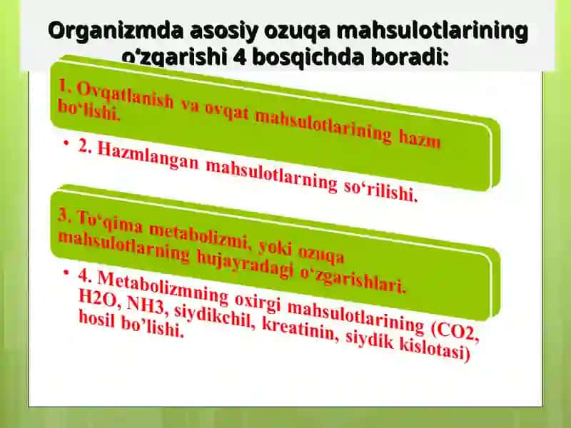 Energiya metobolizmi 3