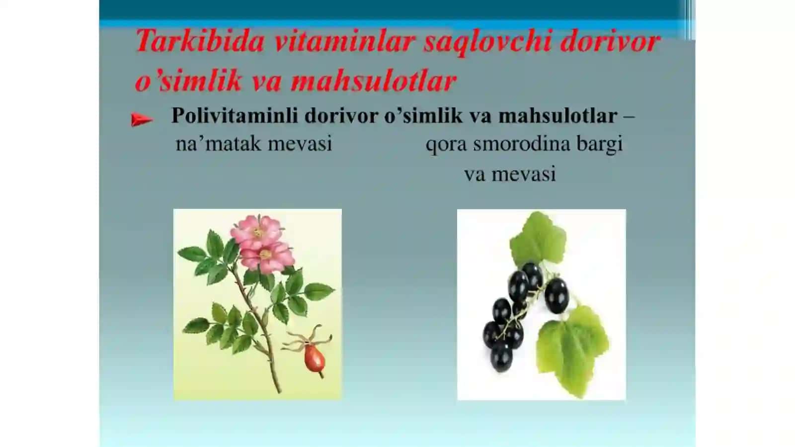 DORIVOR O’SIMLIKLARDAN OQILONA FOYDALANISH 3