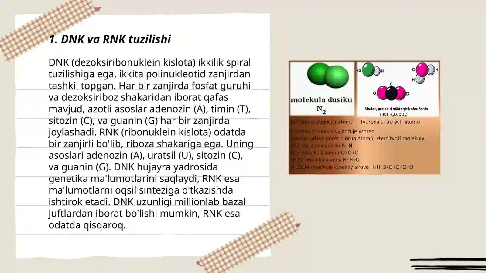 Hayotning Molekulyar asoslari 3