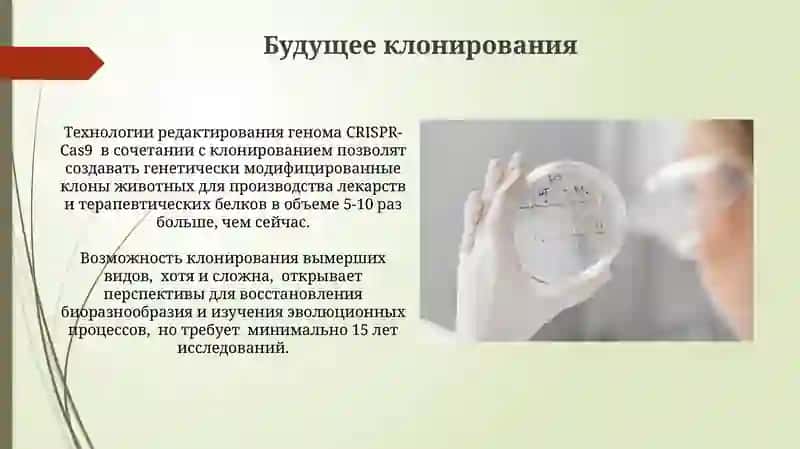 Клонирование: основные понятия 3