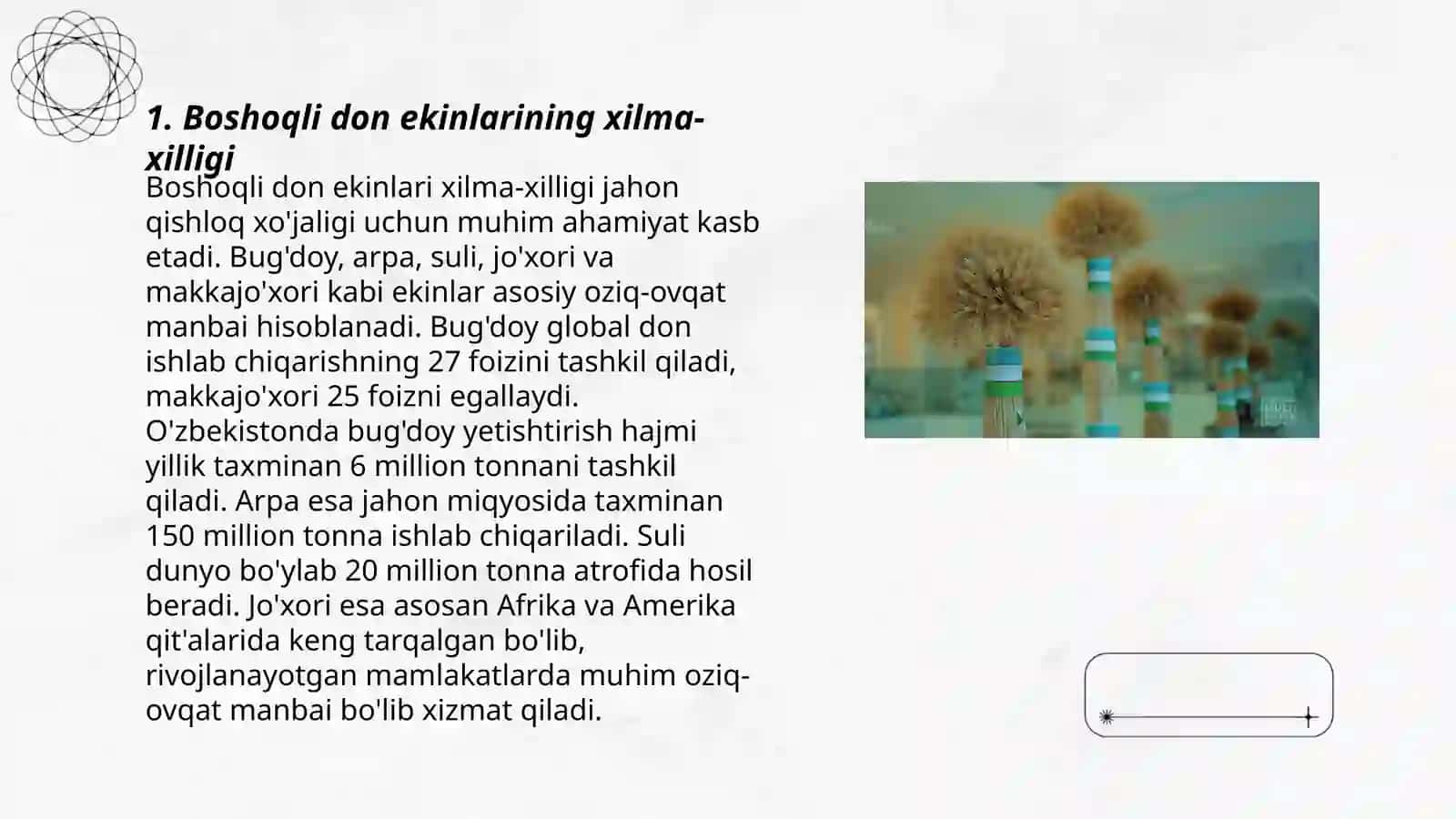 Boshoqli don ekinlarini aprobatsiyasi 3