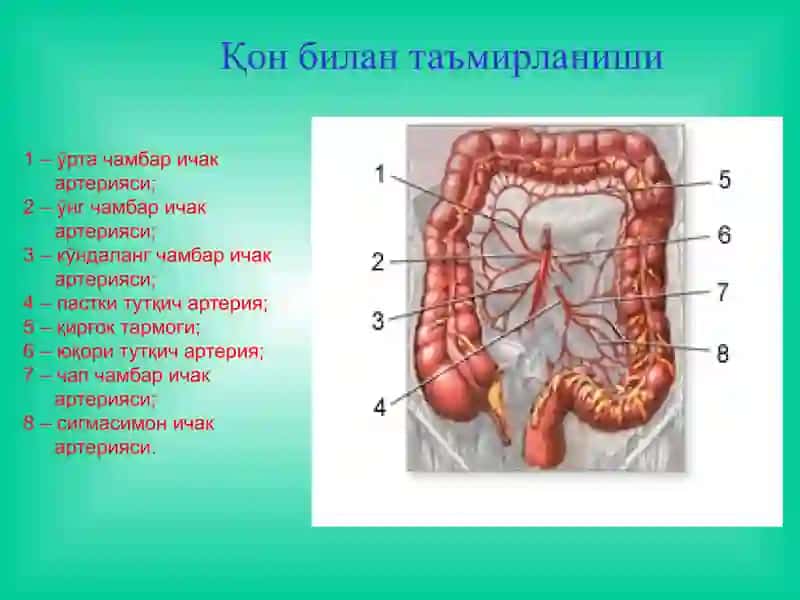 Йўғон ичак раки 3