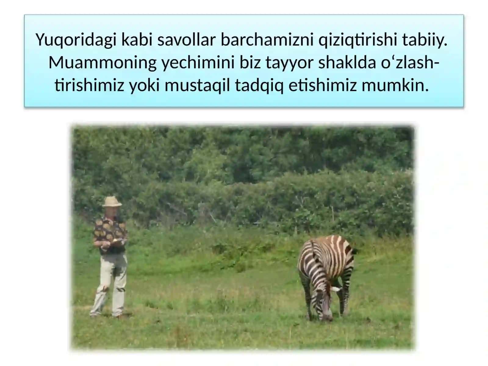 Tadqiqotni rejalshtirish 3