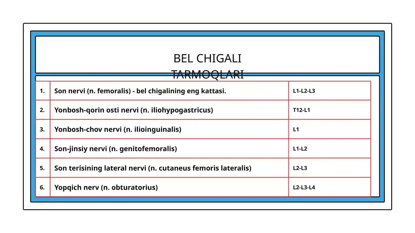 Bel chigali (Plexus lumbalis) 3