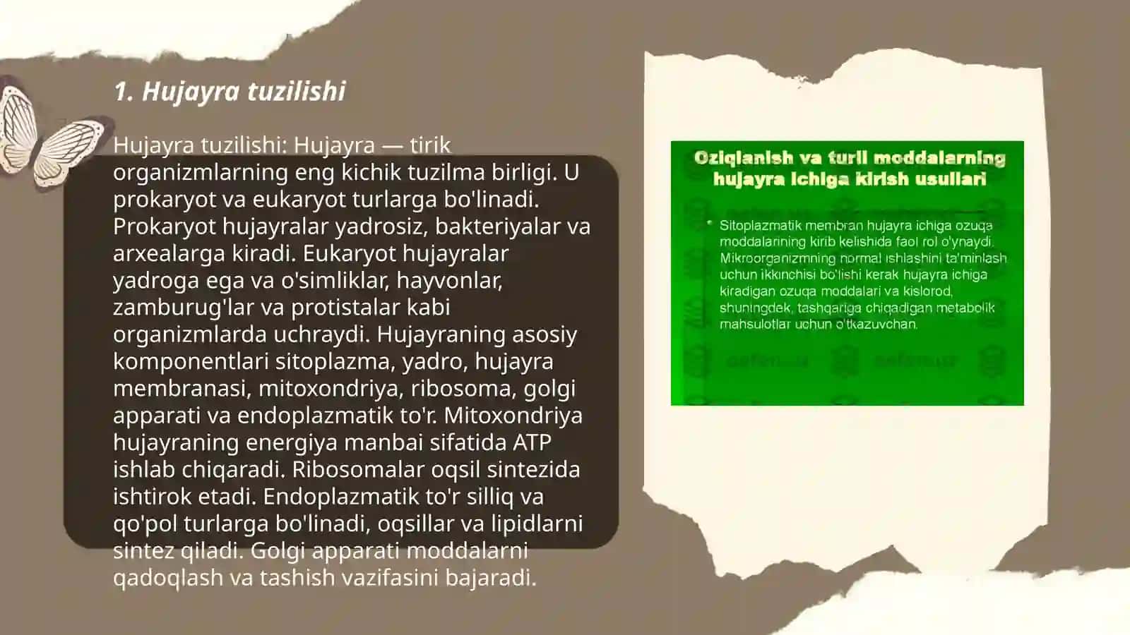 Hujayra va uning tuzulishi 3