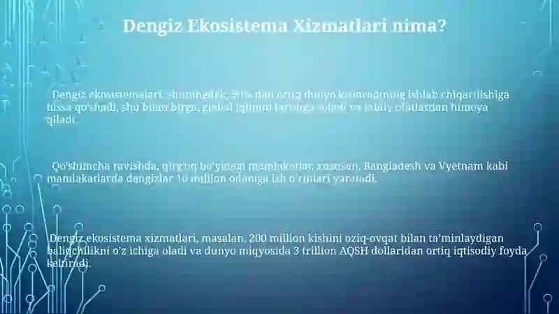 Dengiz ekosistemasi. Xizmatlari 3