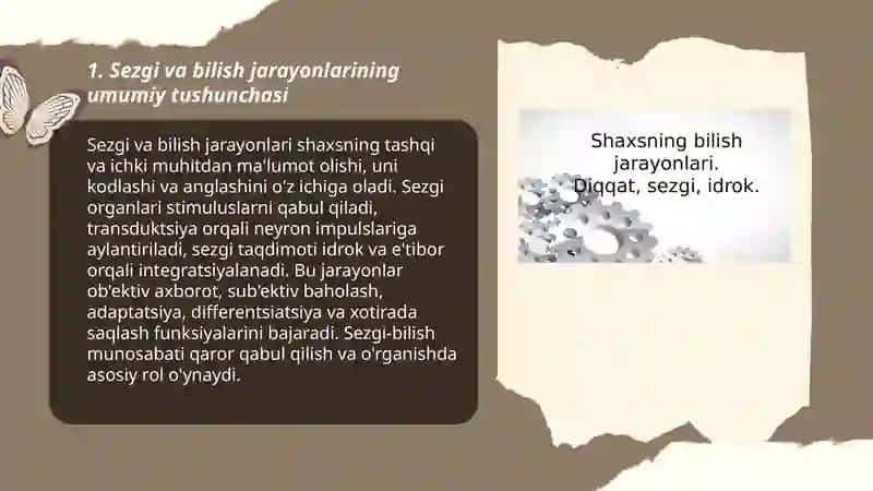 Sezgi va bilish jarayonlari 3