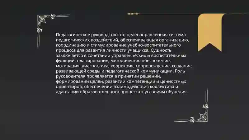 Педагогическое руководство 3
