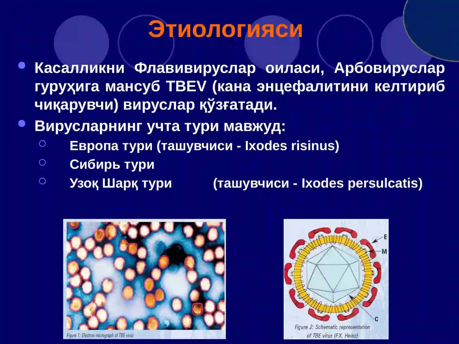 Канаэнцефалити 3