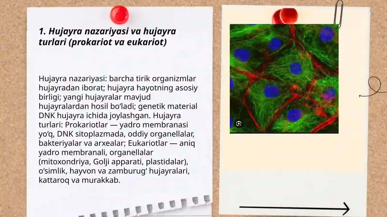 Sitologiya 3