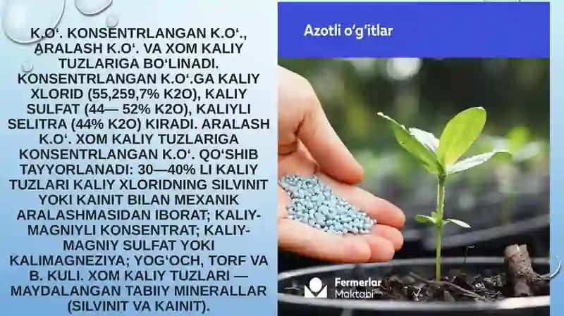 Kaliyli o’g’itlar 3