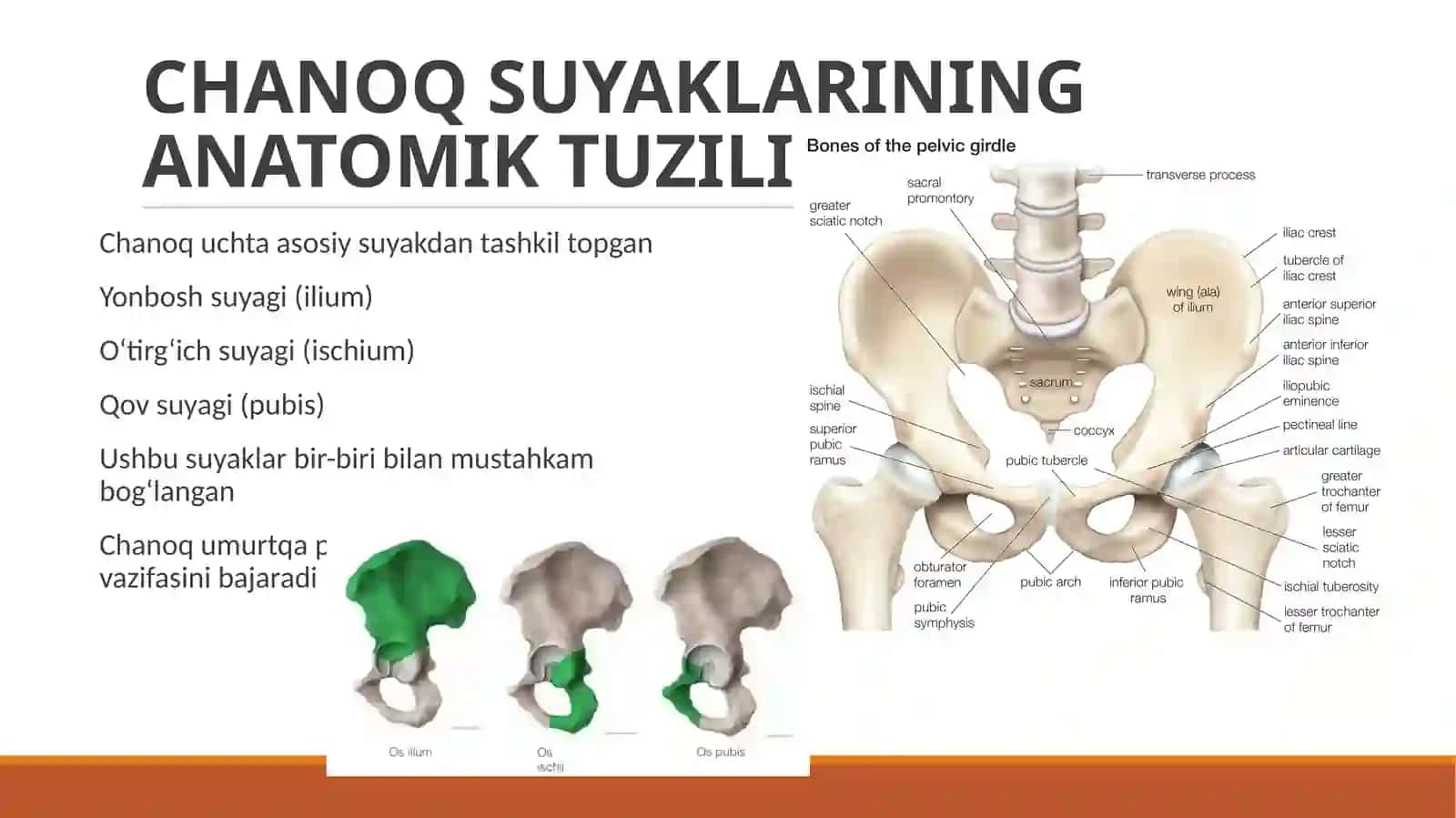 Chanoq suyaklari sinigʻi operatsiyasi turlari 3