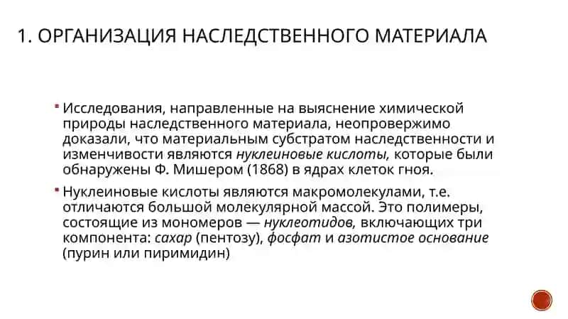 Организация наследственного материала 3