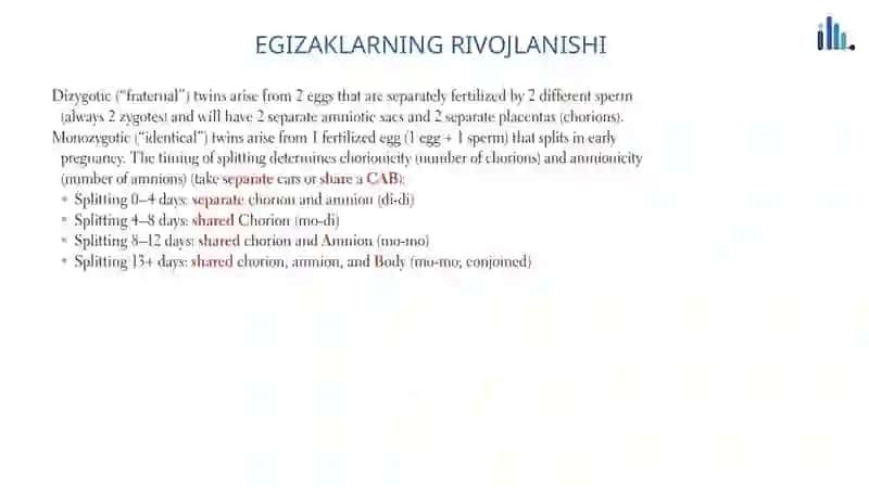 #Egizaklar 3
