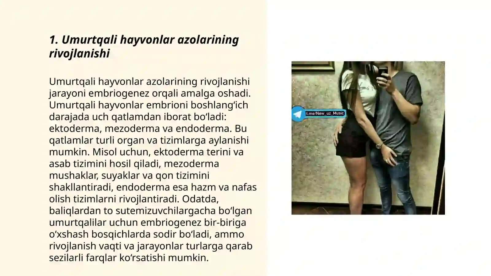 Umurtqalilarda azolar va azolar tizimi ontofilogenezi 3