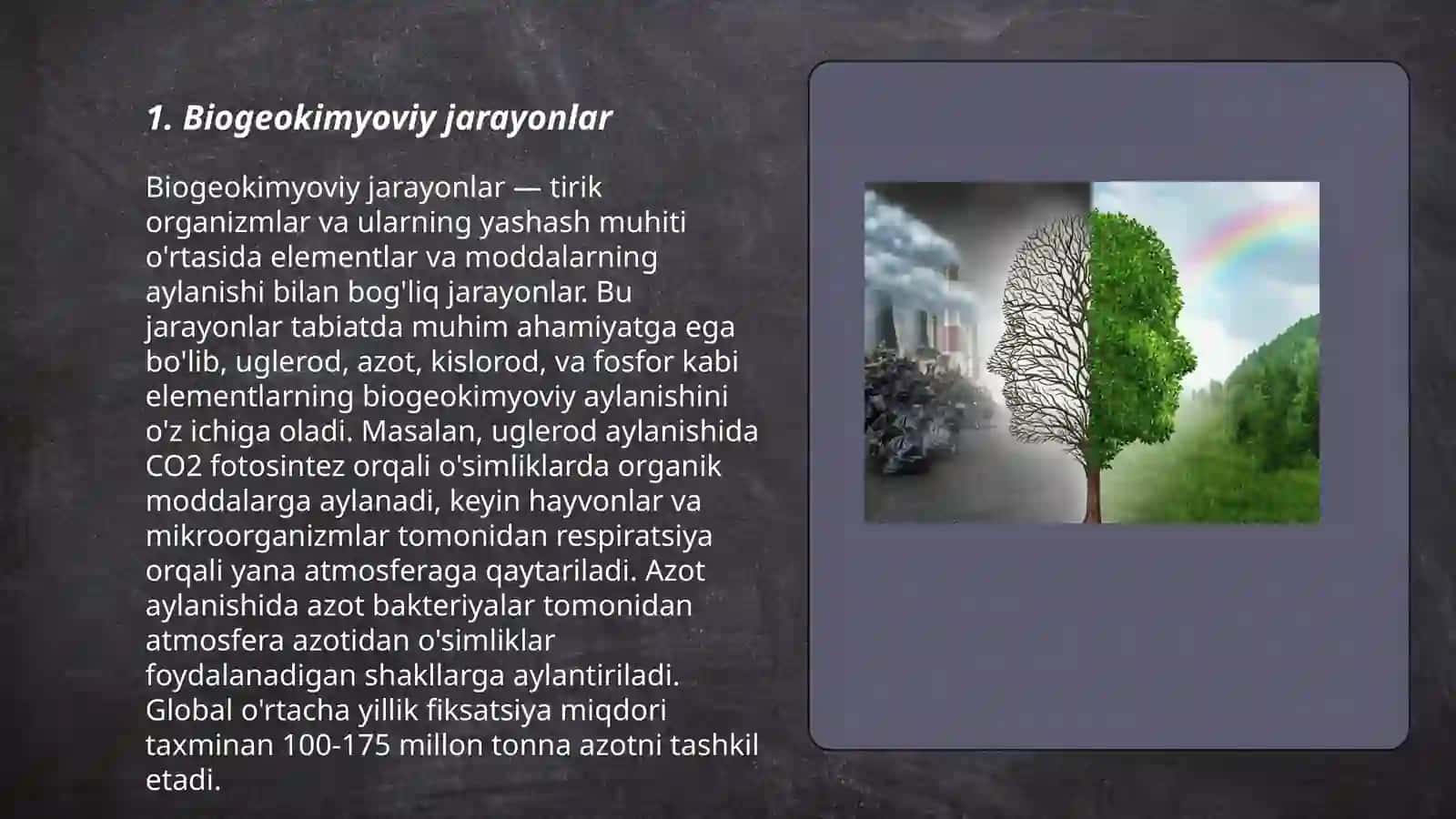 Biogeokimyoviy jarayonlar 3
