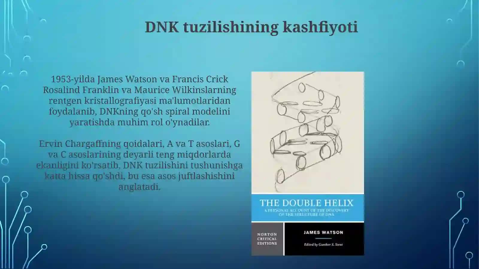 DNKning qoʻshzanjiri gatavsifi 3