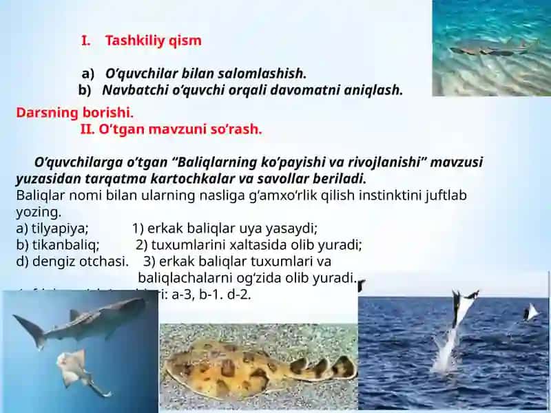 "Baliqlarning xilma-xilligi: tog’aylibaliqlar sinfi" 3