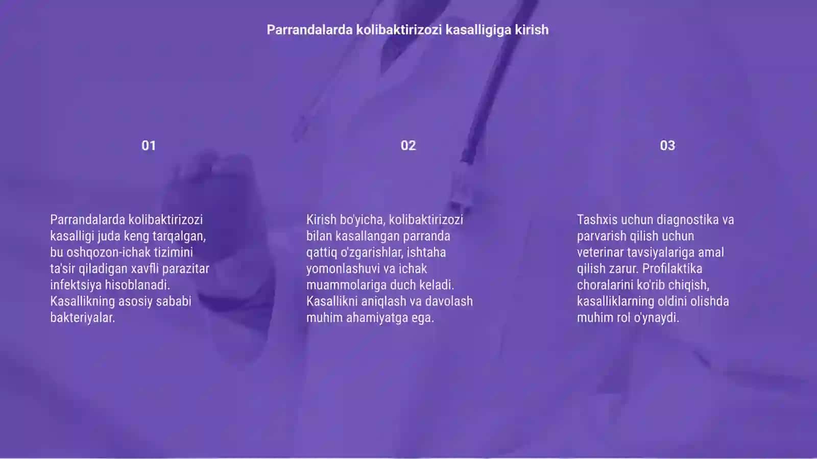 Parrandalarda kolibaktirizozi kasalligi 3