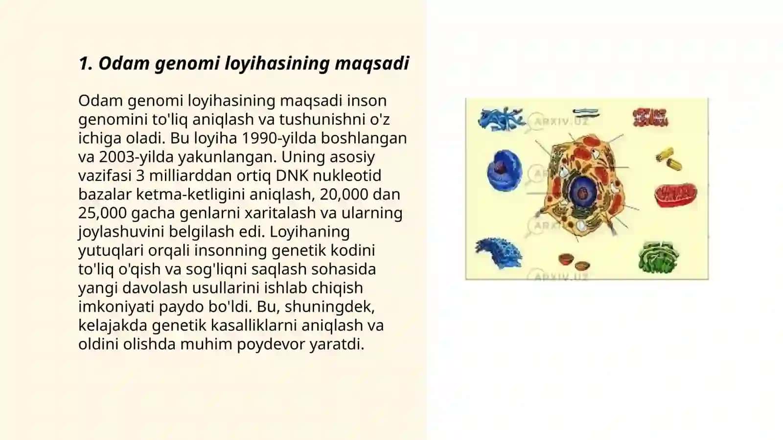 Odam genomi loihasi 3