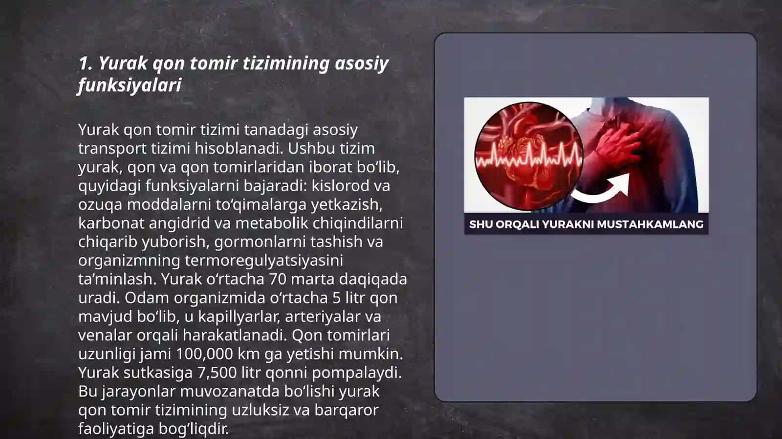 Yurak qon tomir tizimi 3