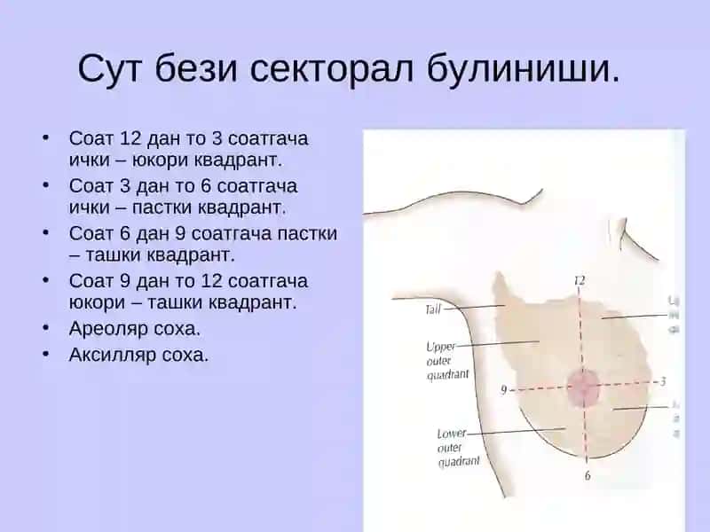 Сут бези саратони 3