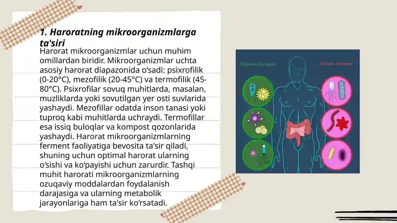 Tashqi muhit omillarini mikroorganizmlarga ta'siri 3