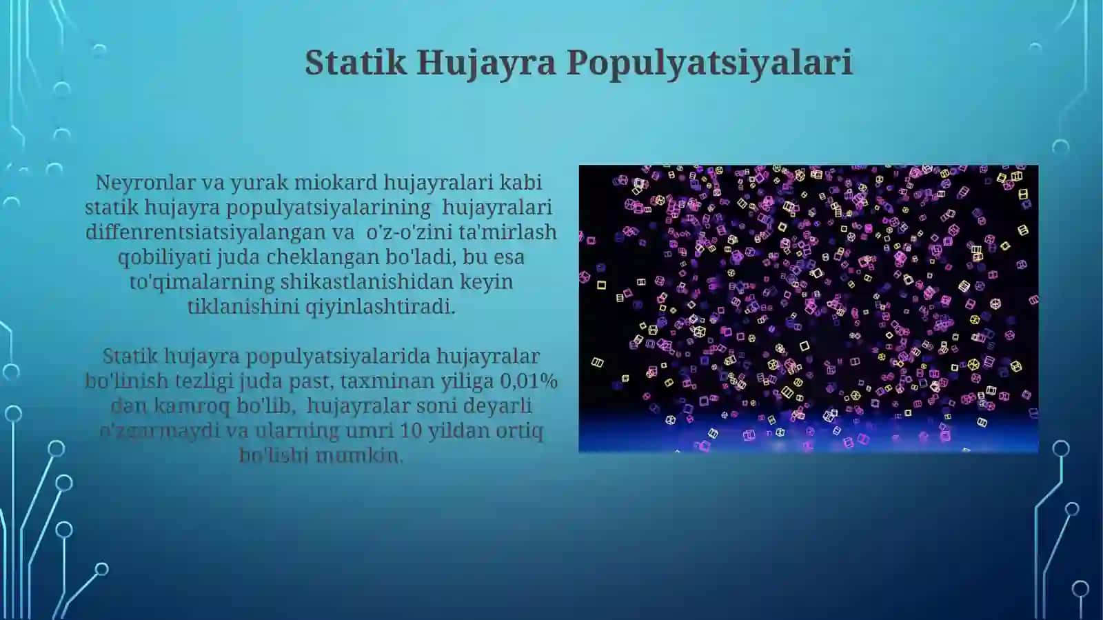 Statik Hujayra Populyatsiyalari 3