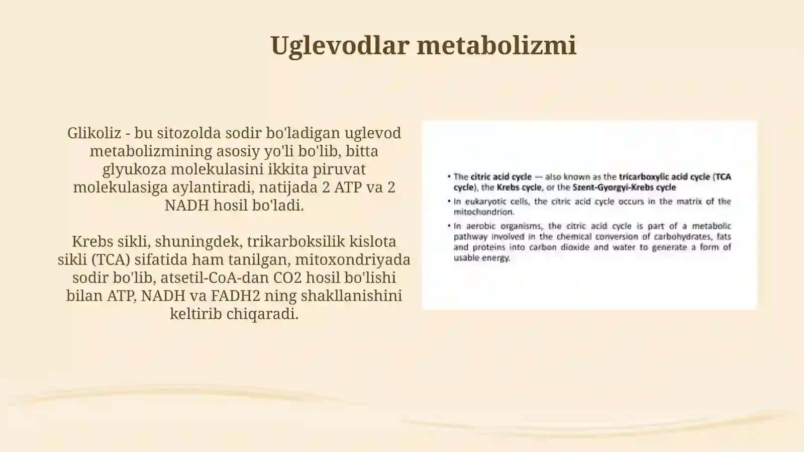 Moddalar almashinuvi uglevod yog va oqsil metabalizimi 3