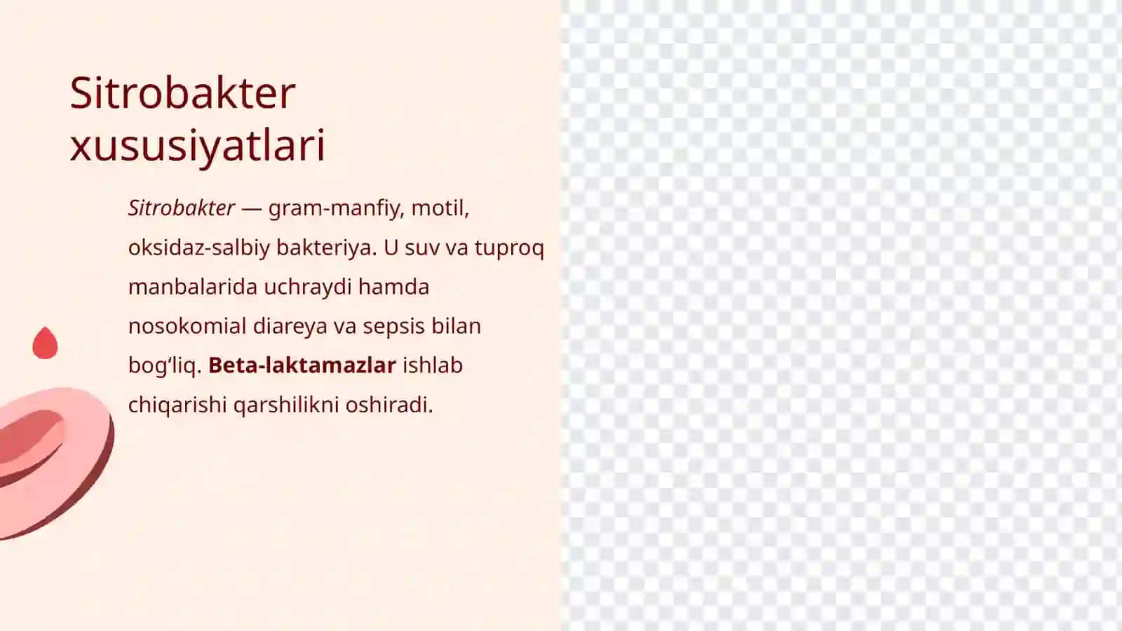 Patogenbakteriyalar 3