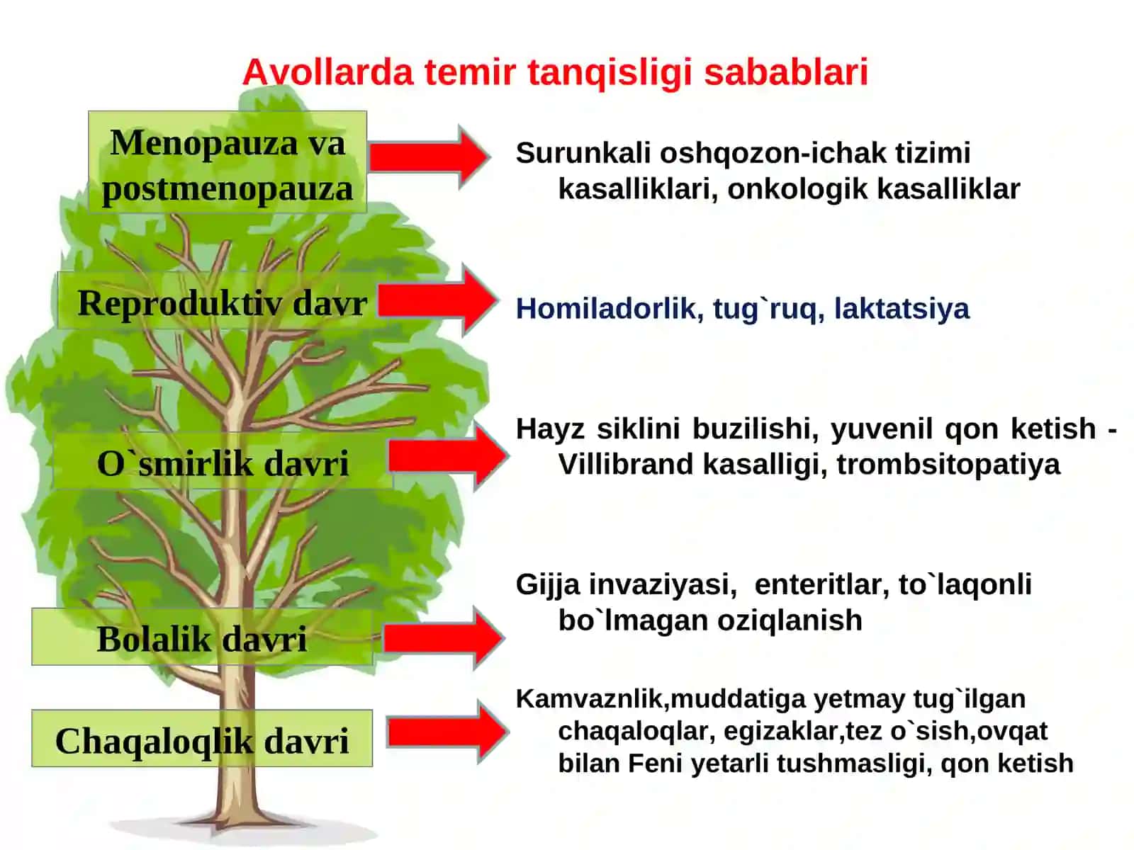 Homiladorlarda kamqonlik 3