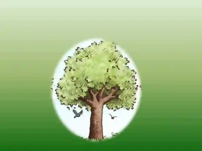 VOCABULARY 3