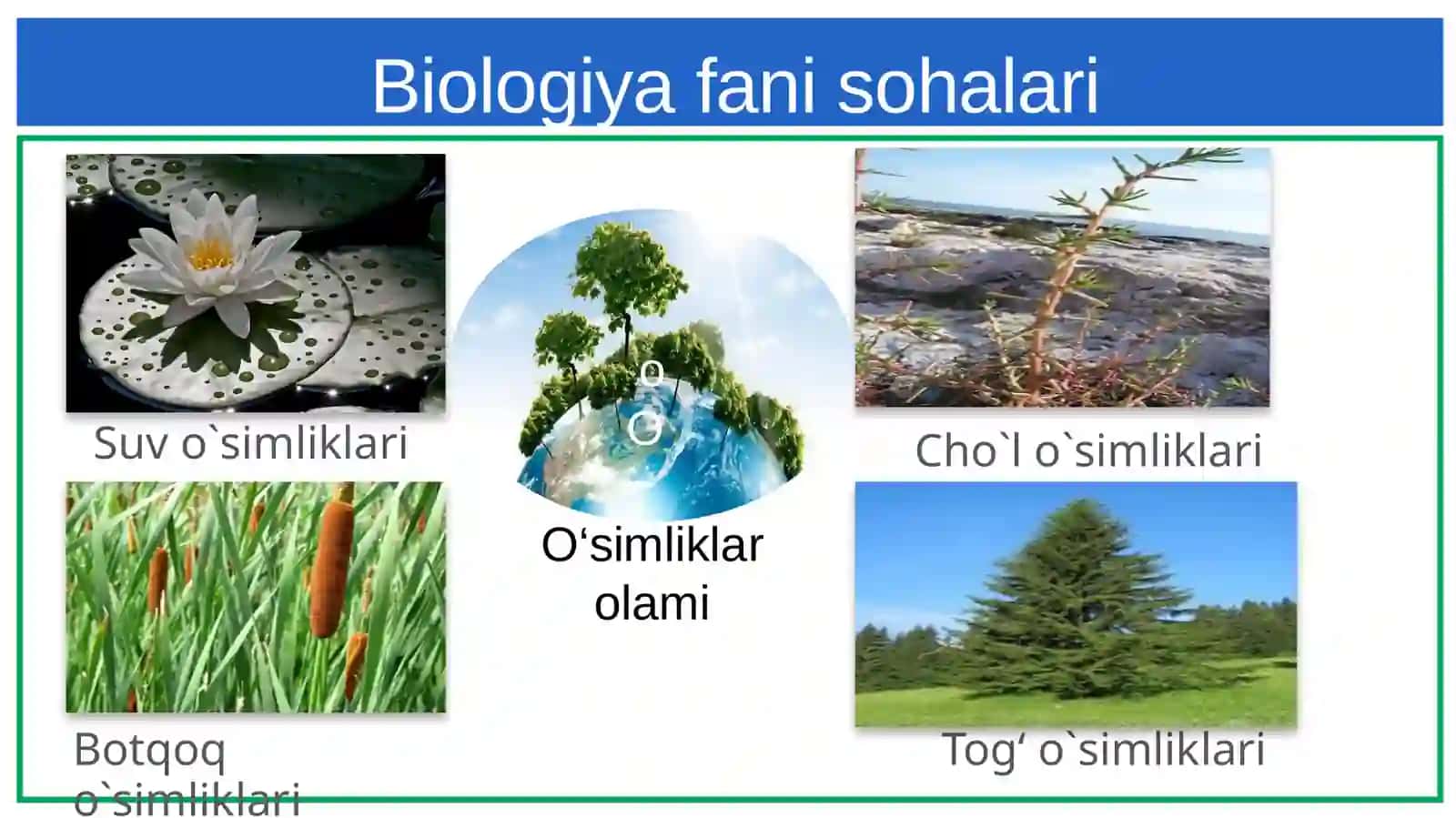 Botanika-o‘simliklarhaqidagifan 3