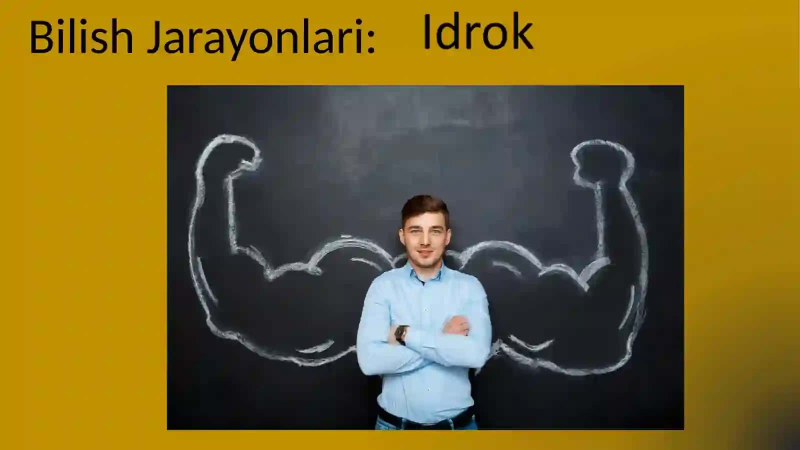 Bilish Jarayonlari 3