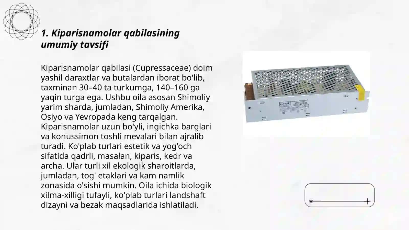 Kiparisnamolar qabilasi 3