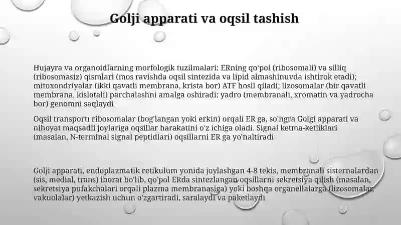 Hujayra va organellalarning morfologik jihatdan tuzulmaviy asosi 3