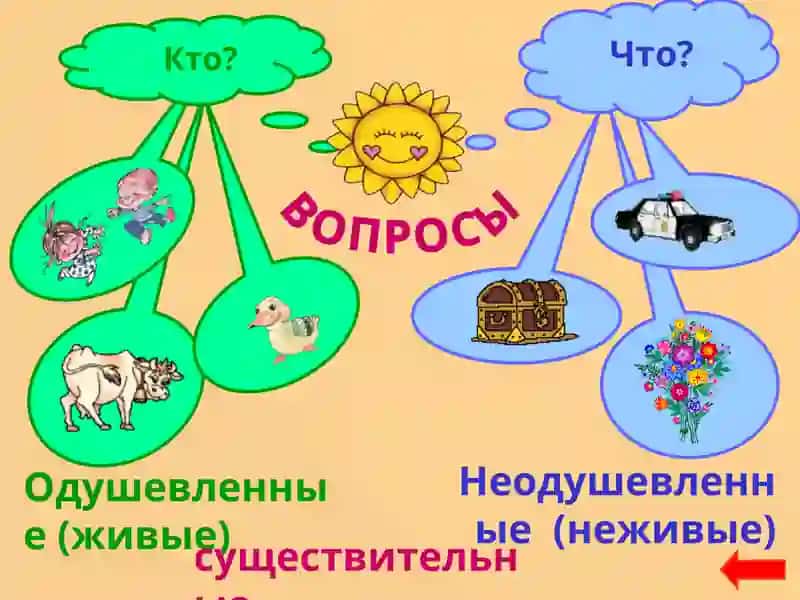 Часть речи - имя существительное 3