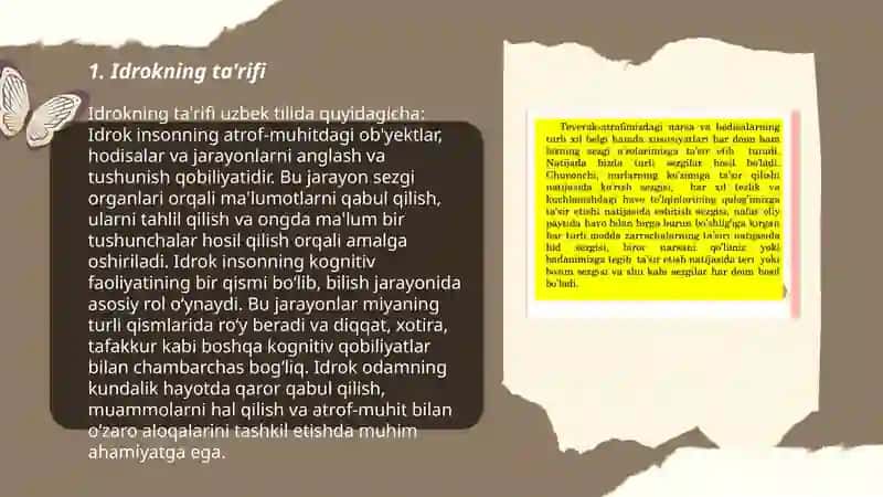 Idrok haqida tushuncha 3