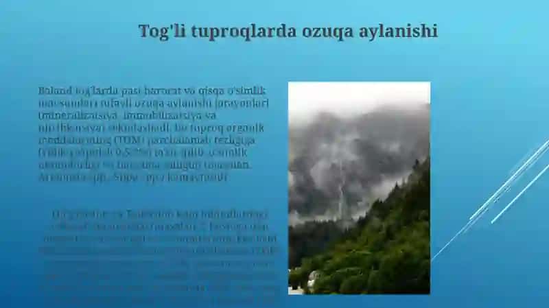 Oʻrta Osiyo togʻ tuproqlari 3