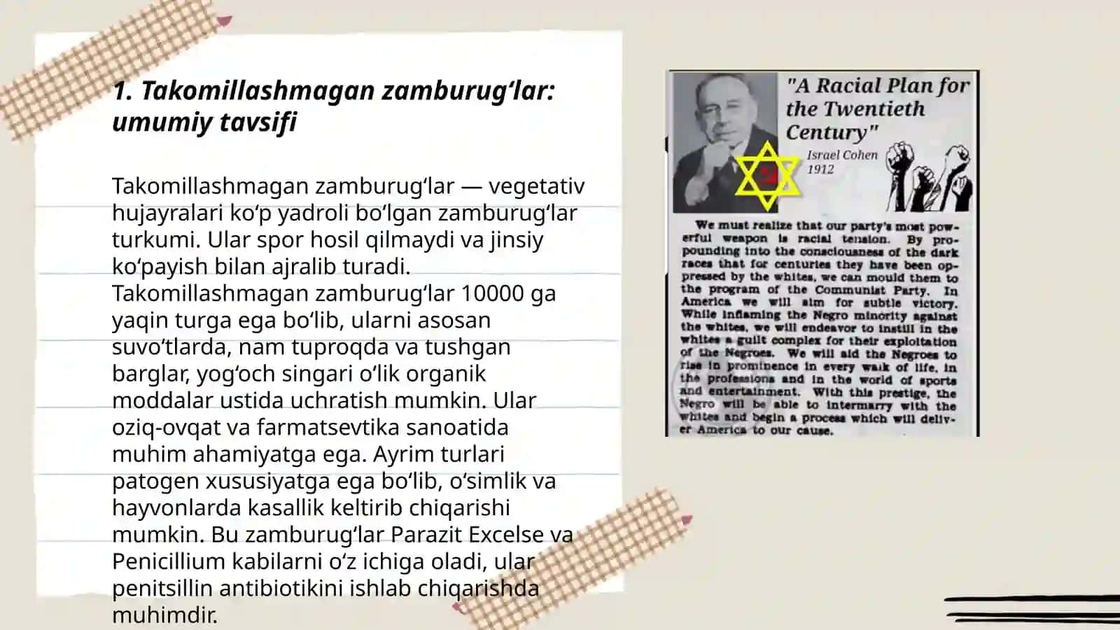 Takomillashmagan zamburug‘lar sinfi 3