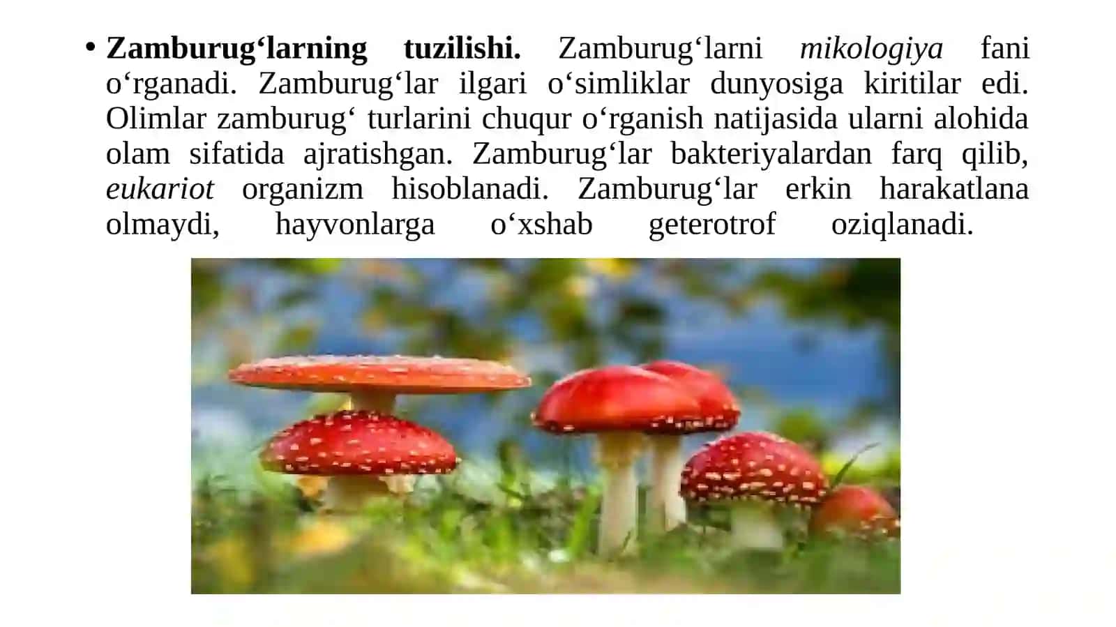 zamburug'lar 3